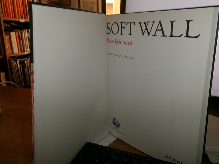 SOFT WALL. Pablo Echaurren a cura di Francesca Mezzano 2017 | Immagine Gallery 6