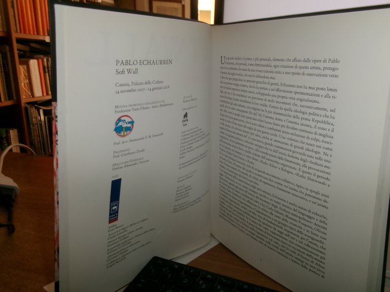 SOFT WALL. Pablo Echaurren a cura di Francesca Mezzano 2017 | Immagine Gallery 9