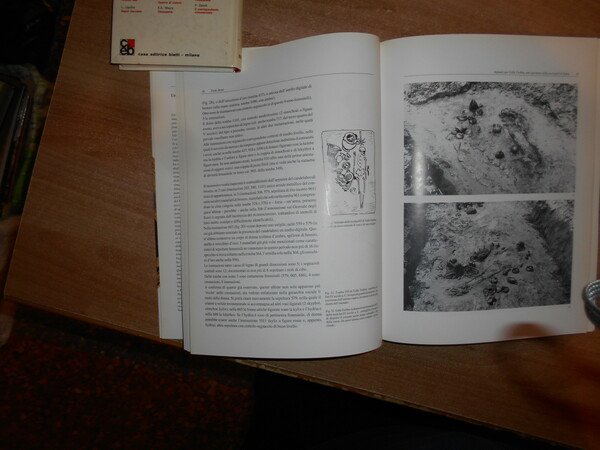 SPINA. Storia di una Città tra Greci ed Etruschi