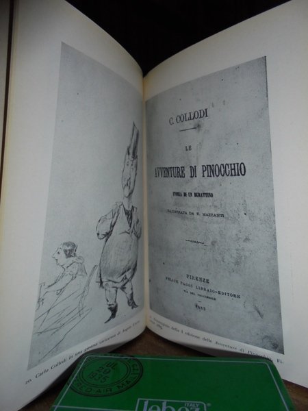 Storia della letteratura per l' infanzia