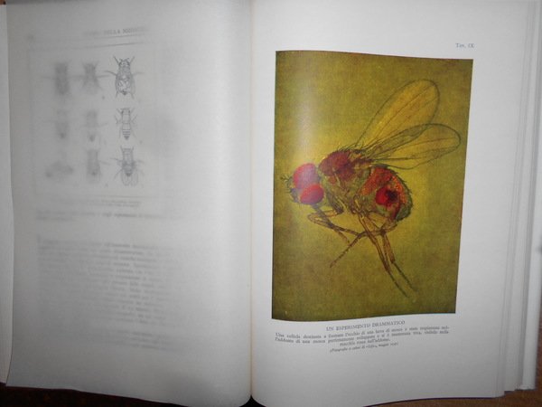 Storia della medicina