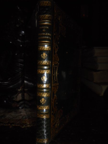 Storia di Michelangelo Bonarroti pittore scultore e architetto fiorentino