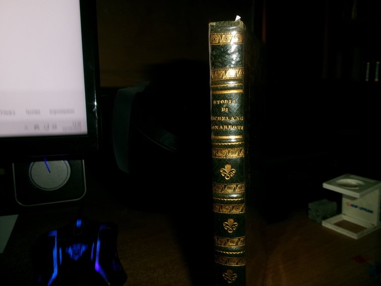 Storia di Michelangelo Bonarroti pittore scultore e architetto fiorentino | Immagine Gallery 1