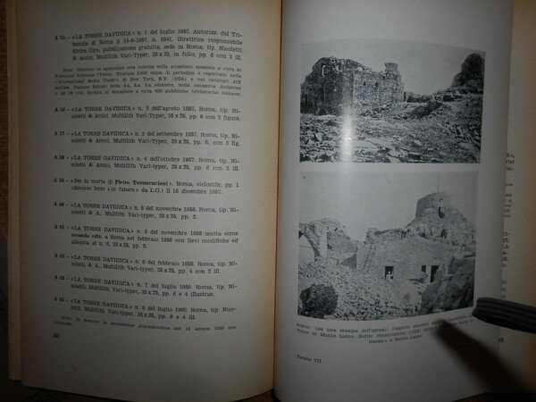 Studio Bibliografico su DAVID LAZZARETTI Profeta dell' Amiata