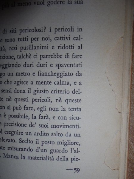 Sul Gatto cenni fisiologico-morali del Dottore Giovanni Rajberti