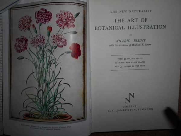 The Art of Botanical Illustration