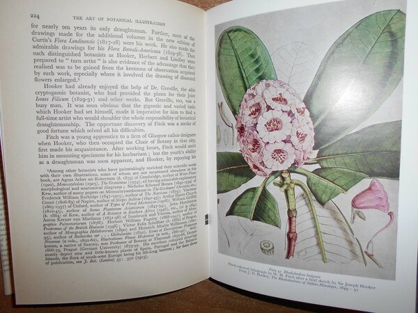 The Art of Botanical Illustration