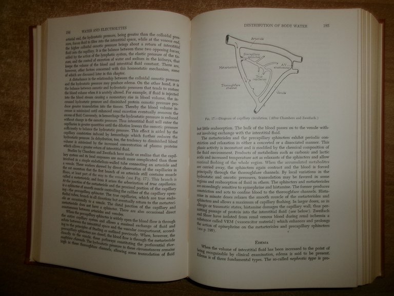 The Biochemistry Of Clinical Medicine by W.S. Hoffman Third Edition …