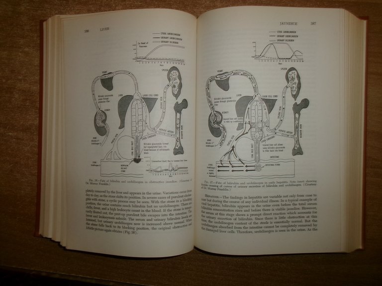 The Biochemistry Of Clinical Medicine by W.S. Hoffman Third Edition …