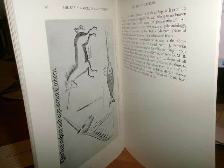 The EARLY HISTORY of PALAEONTOLOGY. W. N. Edwards 1967