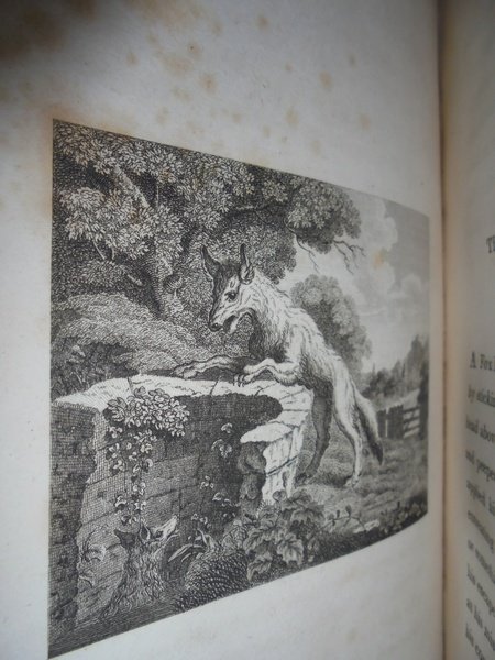 The Fables of Aesop, With a Life of the Author