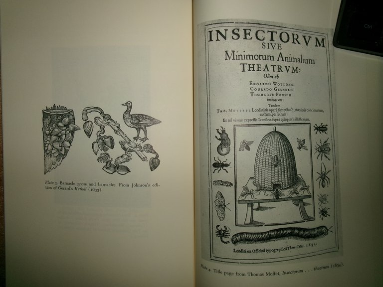 The Growth of Natural History.The Developmentof Natural History in Tudor …
