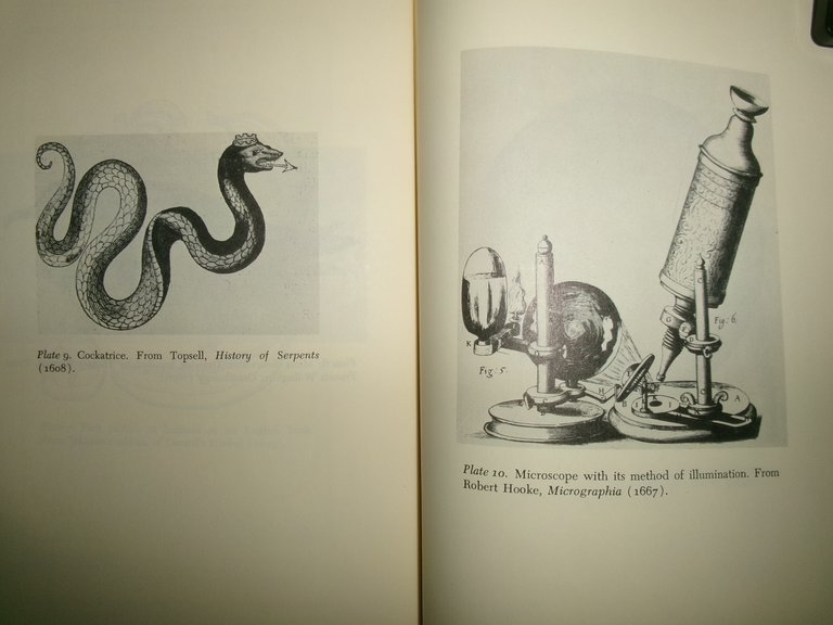 The Growth of Natural History.The Developmentof Natural History in Tudor …