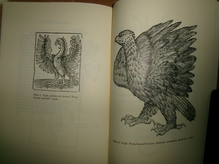 The Growth of Natural History.The Developmentof Natural History in Tudor …