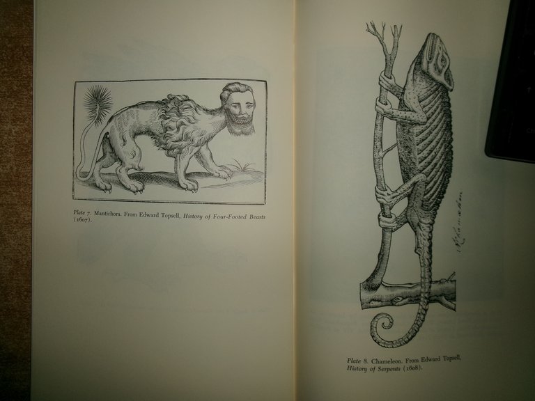 The Growth of Natural History.The Developmentof Natural History in Tudor …