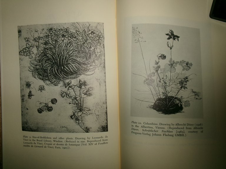 The Growth of Natural History.The Developmentof Natural History in Tudor …