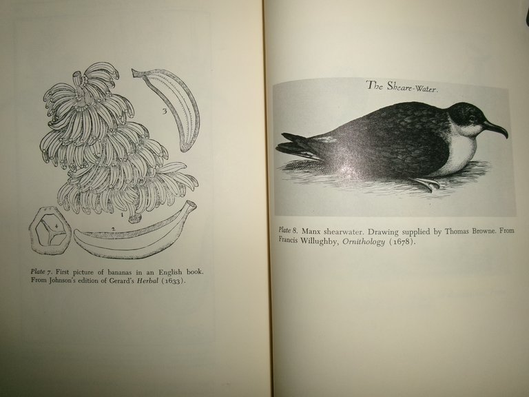 The Growth of Natural History.The Developmentof Natural History in Tudor …