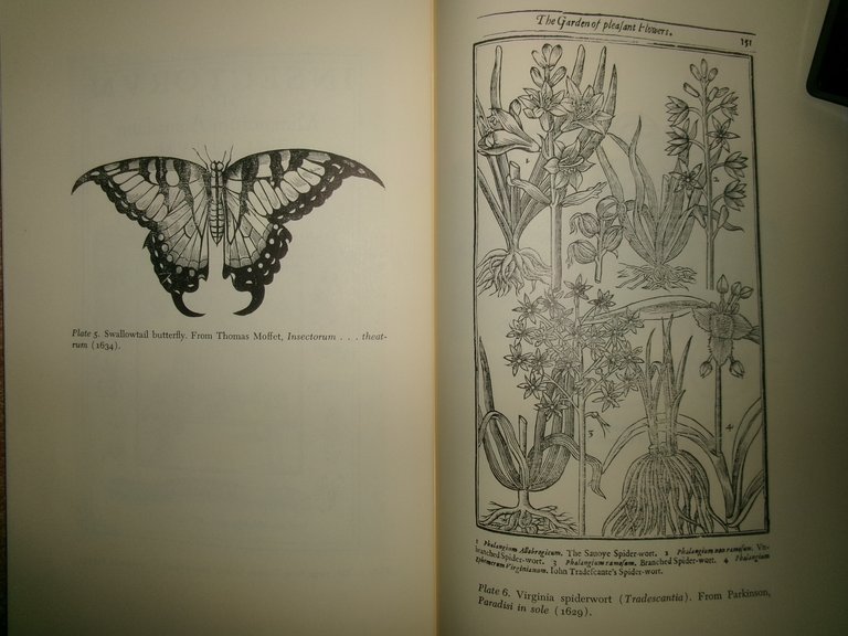 The Growth of Natural History.The Developmentof Natural History in Tudor …