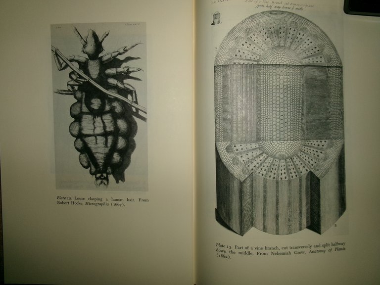 The Growth of Natural History.The Developmentof Natural History in Tudor …