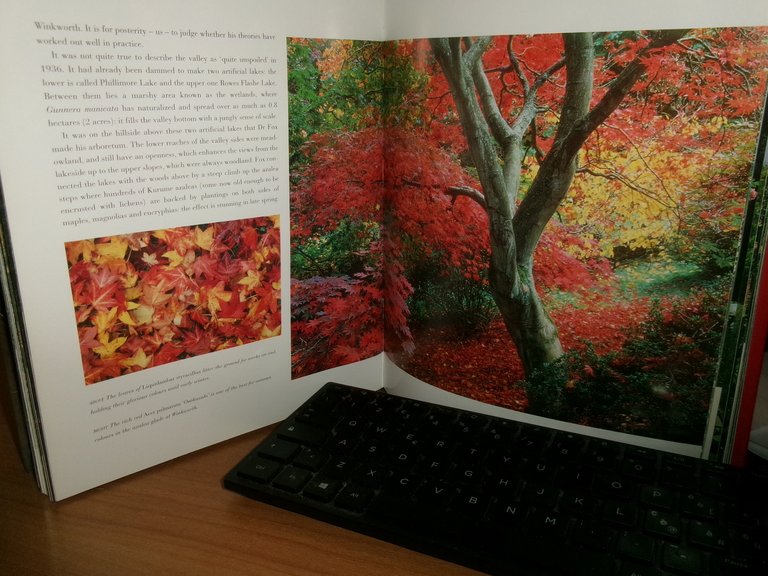 The House And Garden Book Of Country Gardens. di Charles …