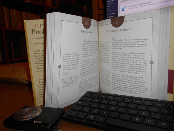 The JEWISH Book of Days. A Companion Seasons
