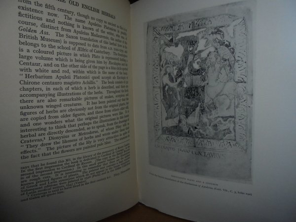 The OLD ENGLISH HERBALS