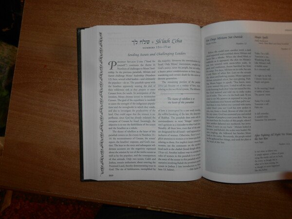 THE TORAH. A WOMEN'S COMMENTARY