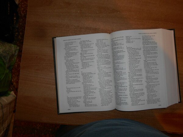 THE TORAH. A WOMEN'S COMMENTARY