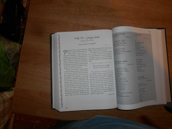 THE TORAH. A WOMEN'S COMMENTARY