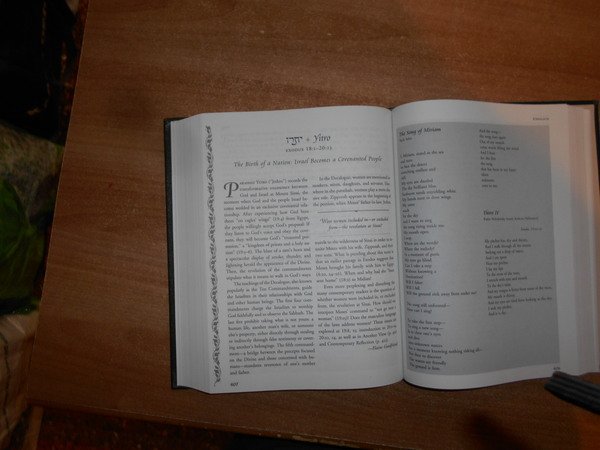 THE TORAH. A WOMEN'S COMMENTARY