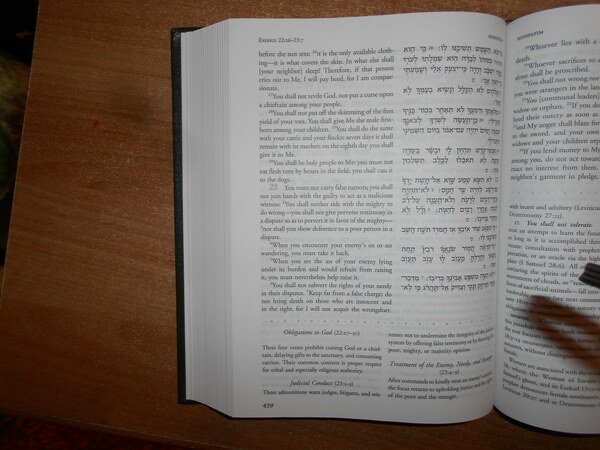 THE TORAH. A WOMEN'S COMMENTARY