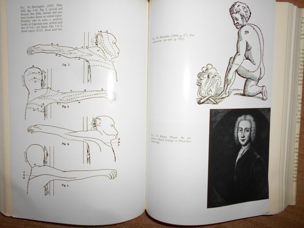 The Uman Brain and Spinal Cord