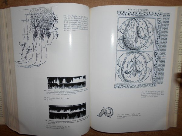 The Uman Brain and Spinal Cord