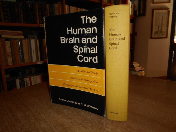 The Uman Brain and Spinal Cord