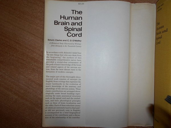 The Uman Brain and Spinal Cord