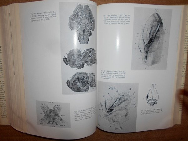The Uman Brain and Spinal Cord