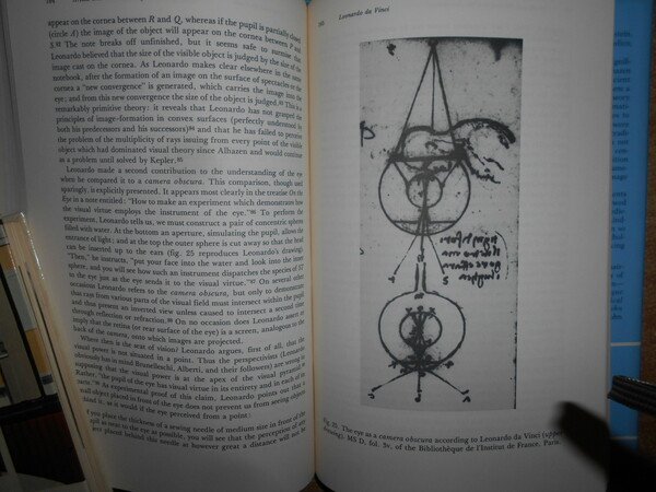 Theories of Vision from Al-Kindi to Kepler
