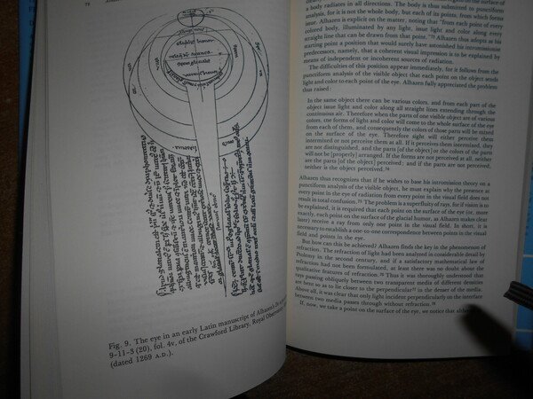 Theories of Vision from Al-Kindi to Kepler