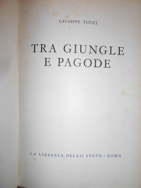 TRA GIUNGLE E PAGODE