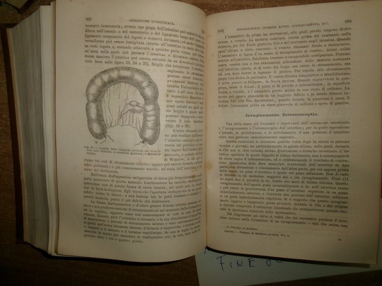 Trattato MEDICINA PRATICA compilato da Autori Americani...William Pepper/Starr