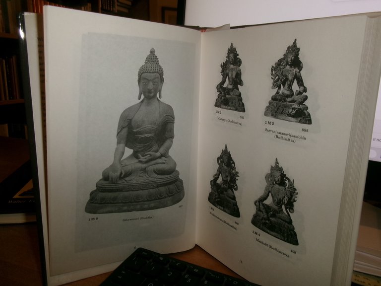 TWO LAMAIASTIC PANTHEONS - Walter Eugene Clark - 1999