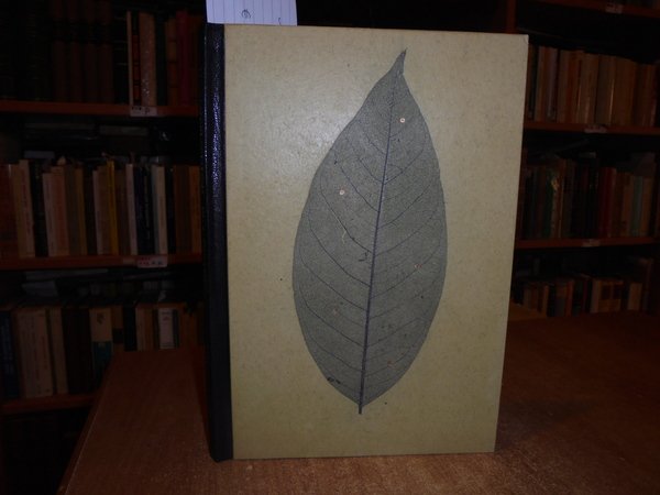 TYPOGRAPHIA NATURALIS