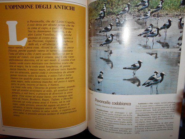 UCCELLI. Enciclopedia sistematica dell' Avifauna Italiana