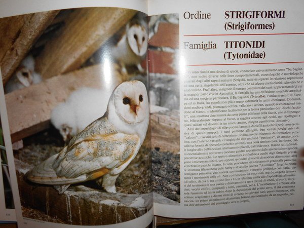 UCCELLI. Enciclopedia sistematica dell' Avifauna Italiana