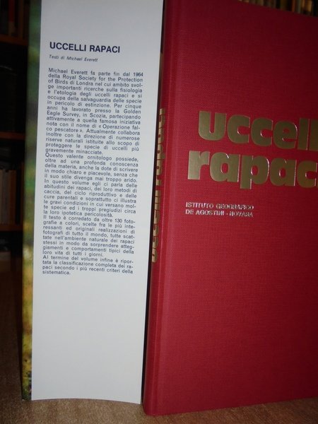 UCCELLI Rapaci