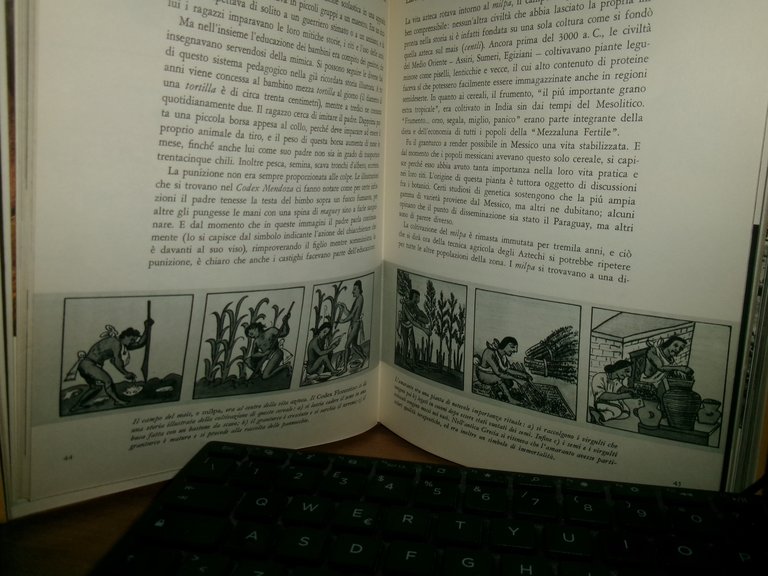 VICTOR WOLFANG VON HAGEN. Antichi Imperi del Sole nelle Americhe …