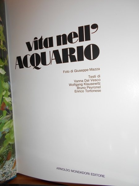 Vita nell' acquario