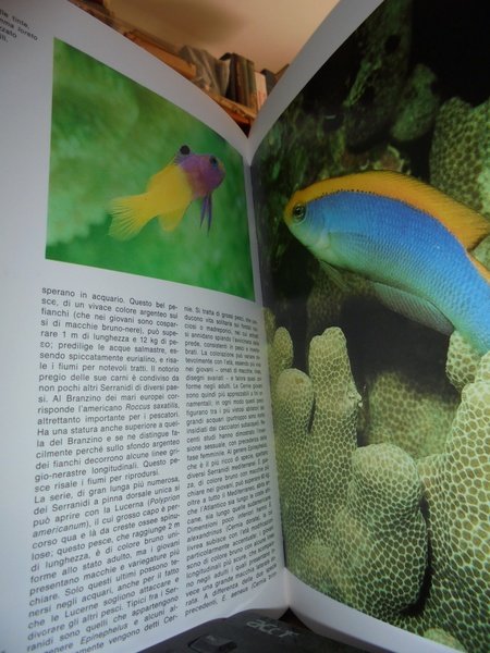 Vita nell' acquario