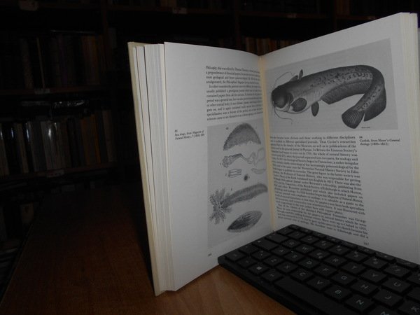 Zoological Illustration an essay towards a history of printed zoological …