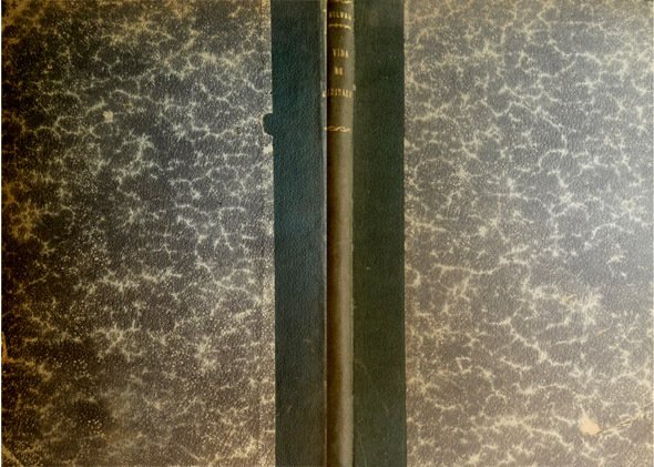 Vida y Aventuras de José Garibaldi. Traducción de Laureano Sánchez …